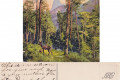 Lorenz_0061