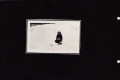 Florence_Memory_Book_0032