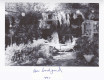 Our_Backyard_1960